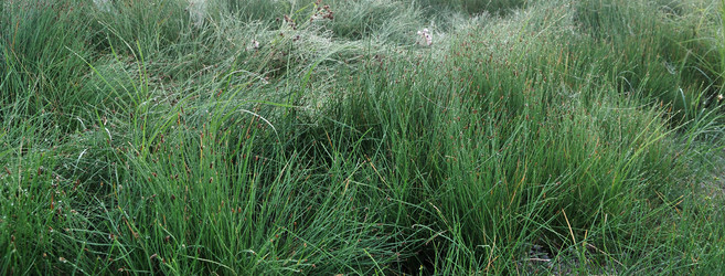 Similar image 21856912