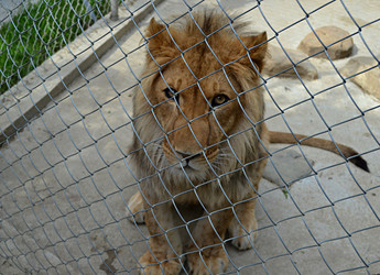 Similar image 21856670