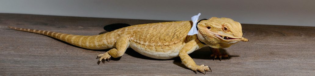 Similar image 21870244