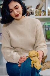 Similar image 21871676