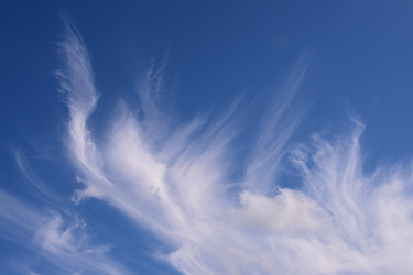 Similar image 21856672