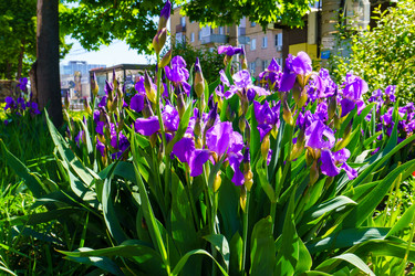 Similar image 21865601