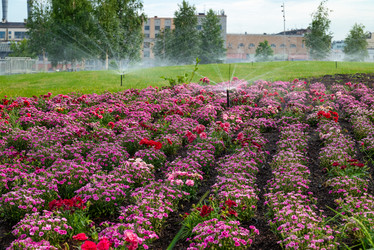 Similar image 21856712