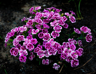 Similar image 21856720