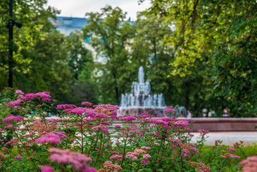 Similar image 21857287