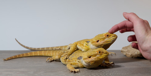 Similar image 21868216