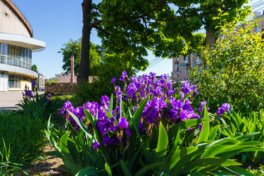 Similar image 21865602