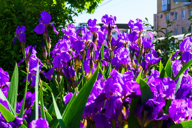 Similar image 21865603