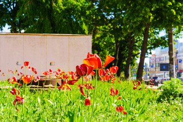 Similar image 21865605