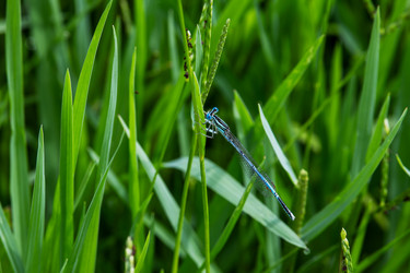 Similar image 21856917