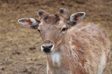 Similar image 21857376