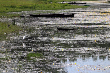 Similar image 21857377