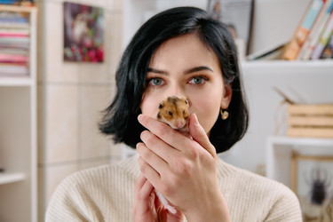 Similar image 21867998