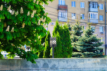 Similar image 21866440