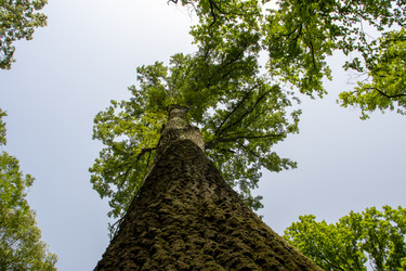 Similar image 21856927