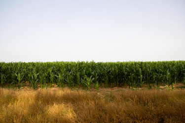 Similar image 21856930