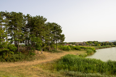 Similar image 21856931