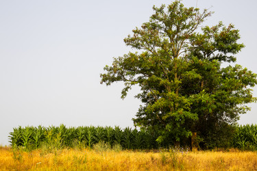 Similar image 21856933