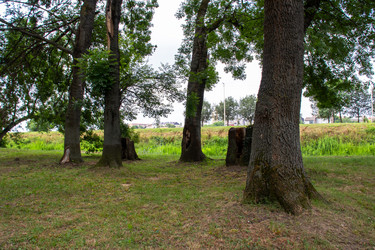 Similar image 21856934