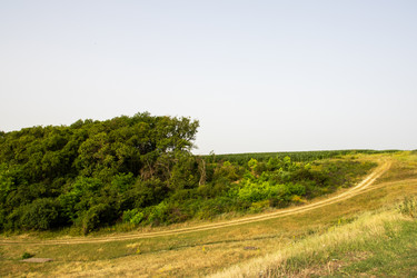 Similar image 21856935