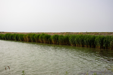 Similar image 21856936