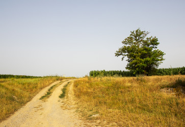 Similar image 21856937