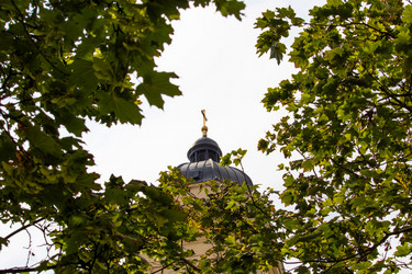 Similar image 21856940