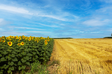 Similar image 21856946