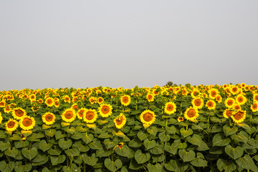 Similar image 21856947