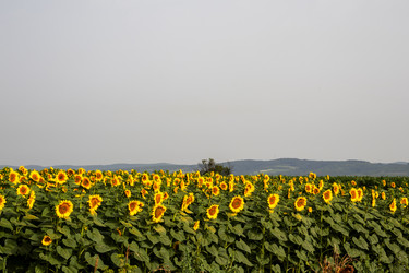 Similar image 21856948