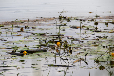 Similar image 21856949