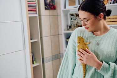 Similar image 21871288