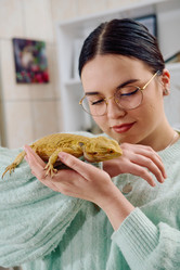 Similar image 21871471