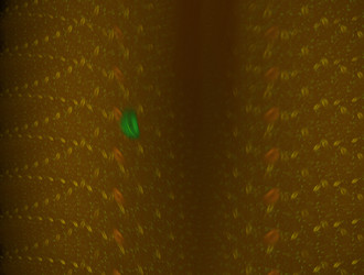 Similar image 21876636