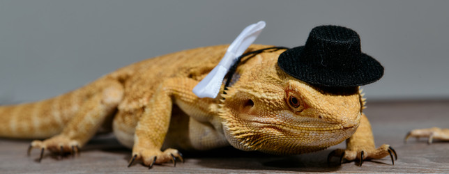 Similar image 21868002