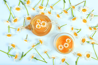 Similar image 21856813