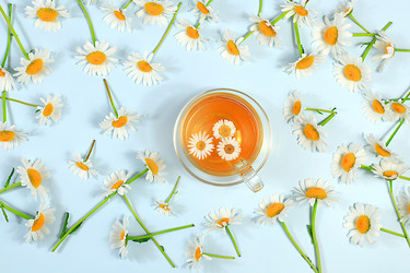 Similar image 21856814