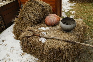 Similar image 21856676