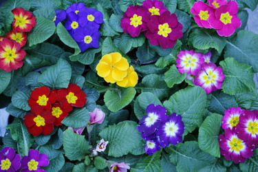 Similar image 21856678