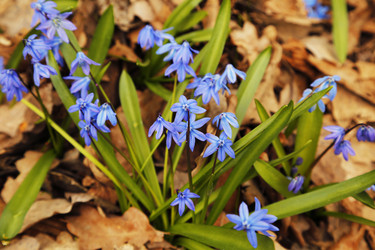 Similar image 21856680