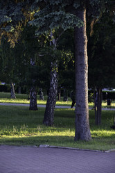 Similar image 21857032