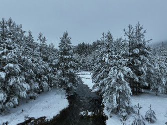 Similar image 21871702