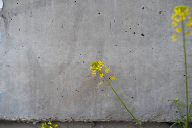 Similar image 21873027