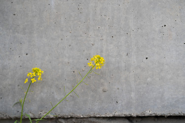 Similar image 21873028