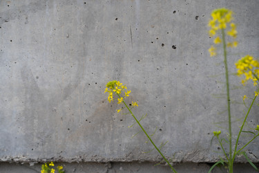 Similar image 21873029