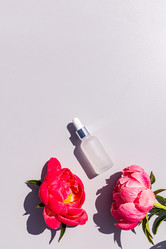 Similar image 21856728