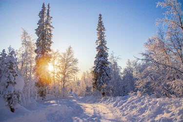 Similar image 21856688