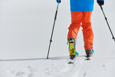 Similar image 21870726