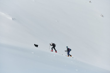 Similar image 21871304