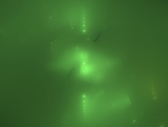 Similar image 21876656